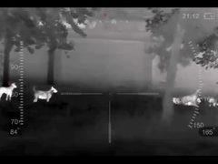 サーマルイメージング単眼